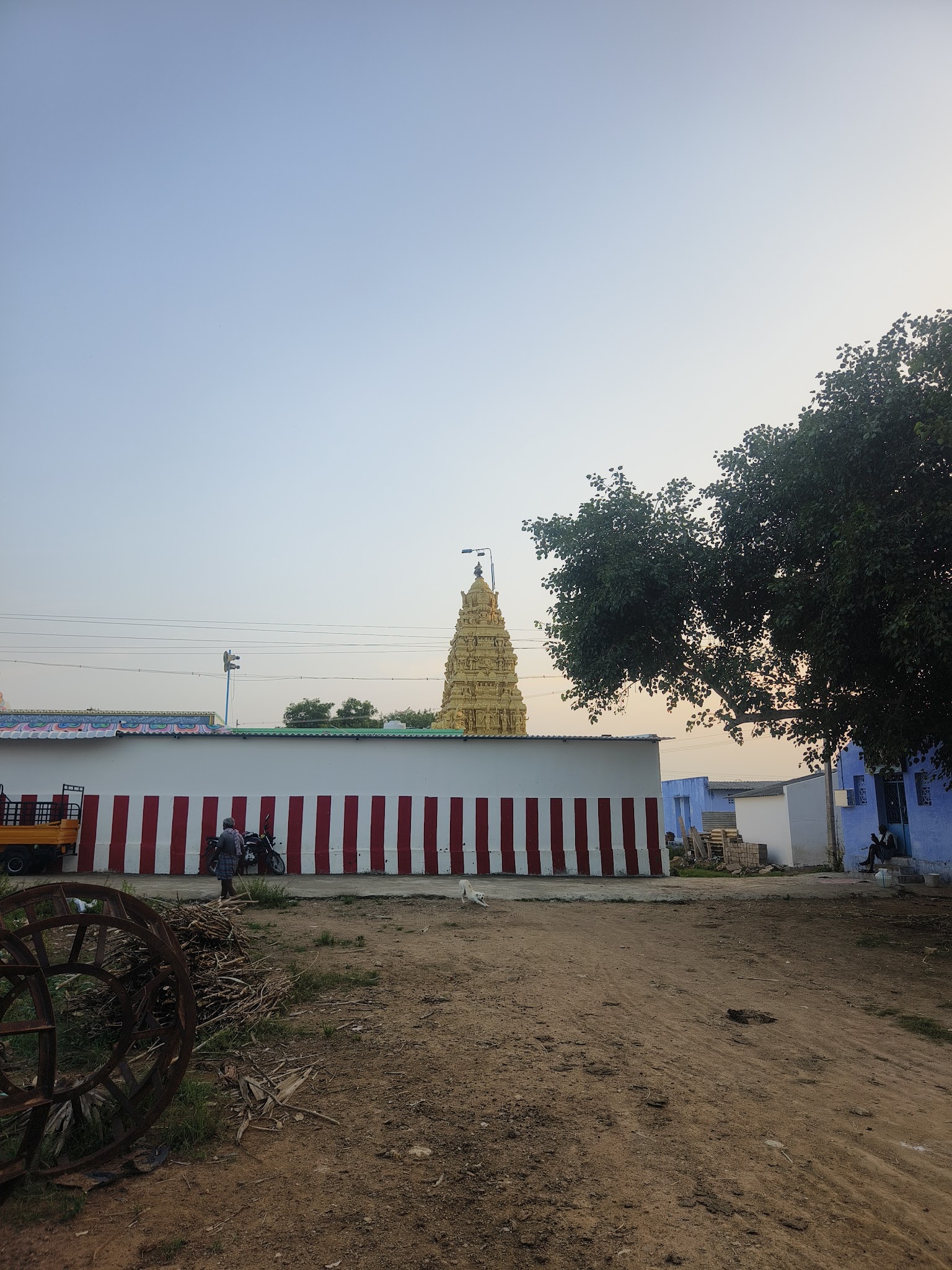 Festival Celebration